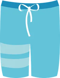 swimming trunks.webp
